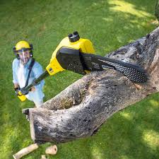 Best Arborist Consultation Services  in Bartlett, TX